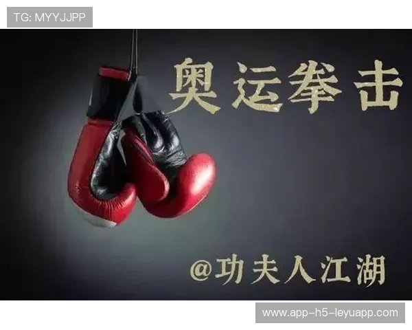 国际拳击联盟选手伤病赔偿机制完善提案,国际拳击规则