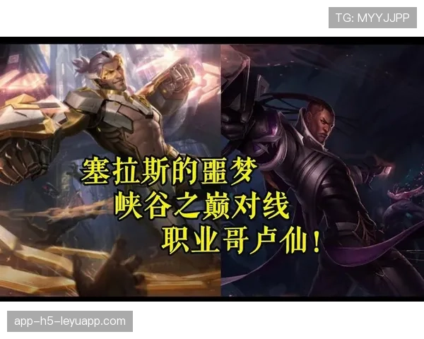 职业哥为什么都不开高画质（65 ）